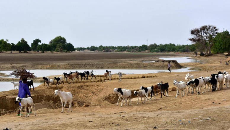 Niger: deux femmes otages libérées contre rançon dans la région du lac Tchad Niger: deux femmes otages libérées contre rançon dans la région du lac Tchad