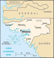 Bissau dément : "le narcotrafiquant ne fait pas partie de notre délégation"