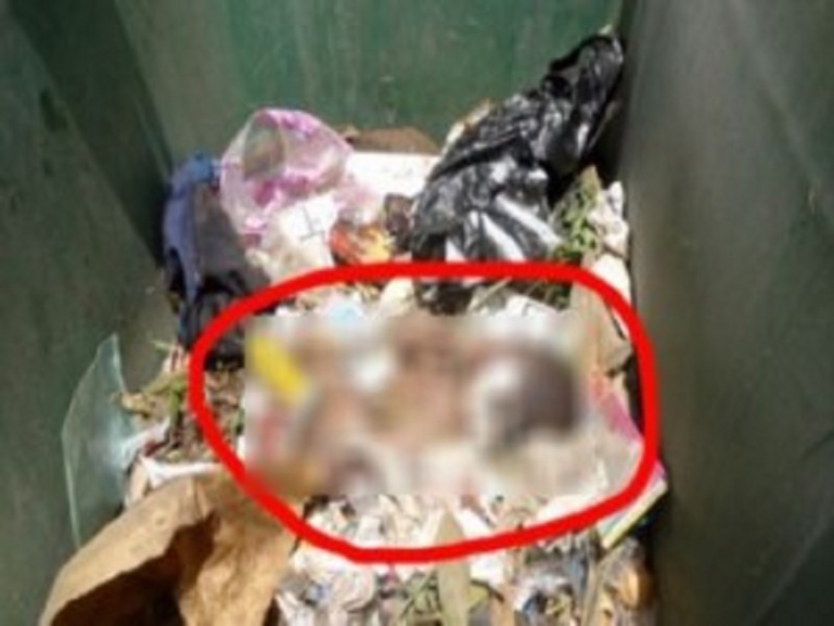 Jaxaay : Un nouveau-né retrouvé dans un seau hermétiquement fermé Jaxaay : Un nouveau-né retrouvé dans un seau hermétiquement fermé