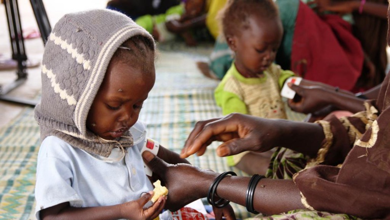 Niger: inquiétude sur les cas de paludisme et de malnutrition infantile