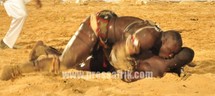 (Photos) Combat de lutte Ama Baldé vs Balla Diouf: Le film du combat