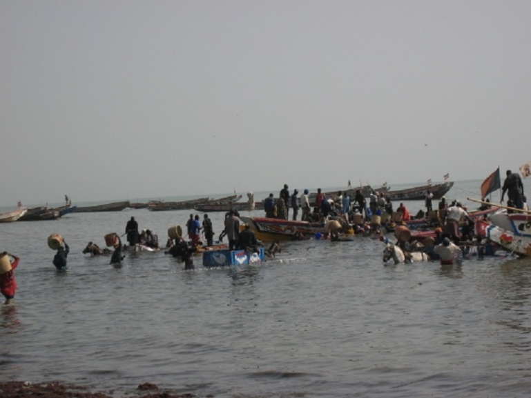 Joal-Fadiouth : Une grève illimitée décrétée par les pêcheurs Joal-Fadiouth : Une grève illimitée décrétée par les pêcheurs