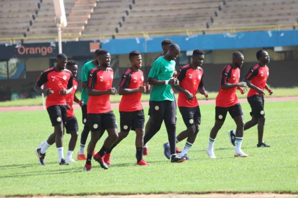 Préparation des « Lions » : la séance de mercredi matin annulée