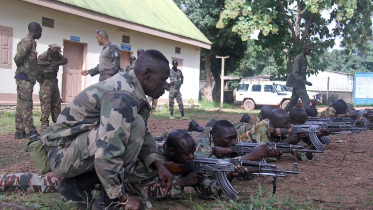 Centrafrique: formation d'un bataillon amphibie Centrafrique: formation d'un bataillon amphibie