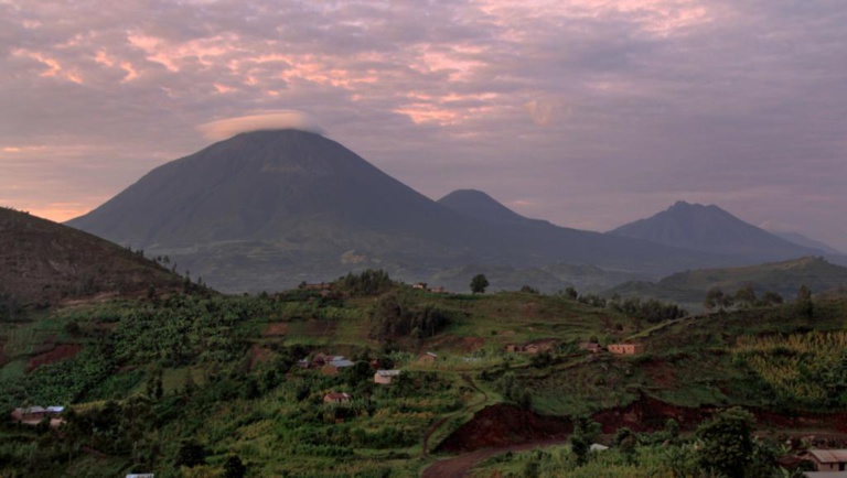 RDC: l’exploitation du pétrole menace les parcs des Virunga et de la Salonga RDC: l’exploitation du pétrole menace les parcs des Virunga et de la Salonga