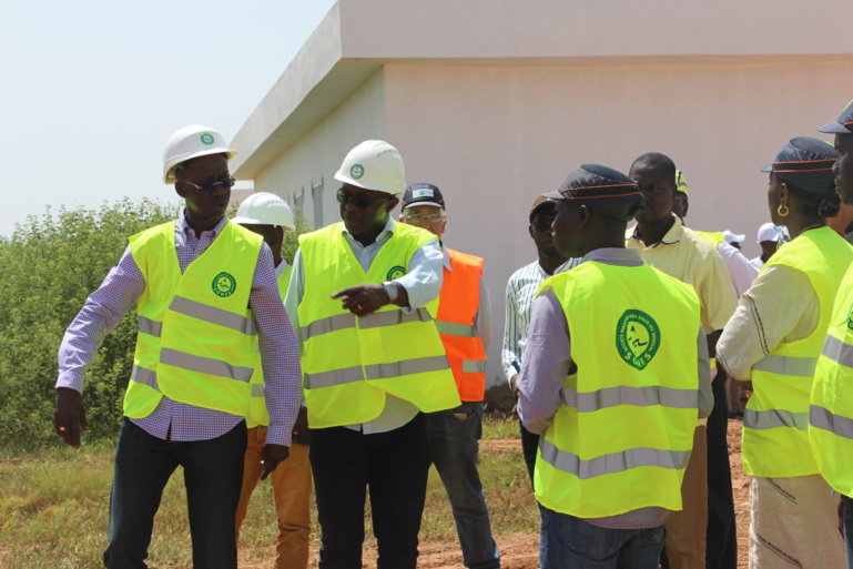 Vidéos - "le fer dans l'eau de Koungheul dépasse les normes édictées par l’OMS", selon le DG de la SONES Vidéos - "le fer dans l'eau de Koungheul dépasse les normes édictées par l’OMS", selon le DG de la SONES