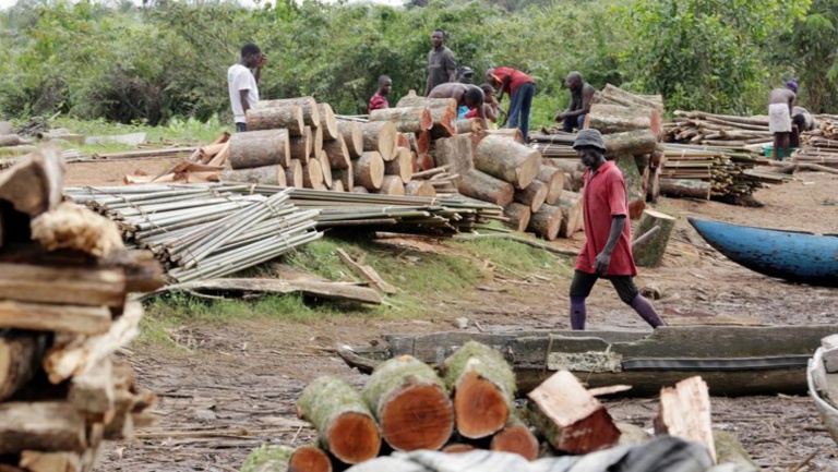 En Casamance, Macky déçu du non-respect de sa mesure sur l'arrêt de la coupe du bois
