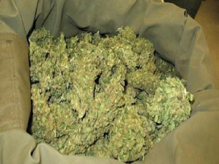 Opérations de ratissage de la Douane : drogue, médicaments contrefaits…saisis