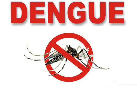 Épidémie de Dengue : tous les malades déclarés sont guéris (Ministère)