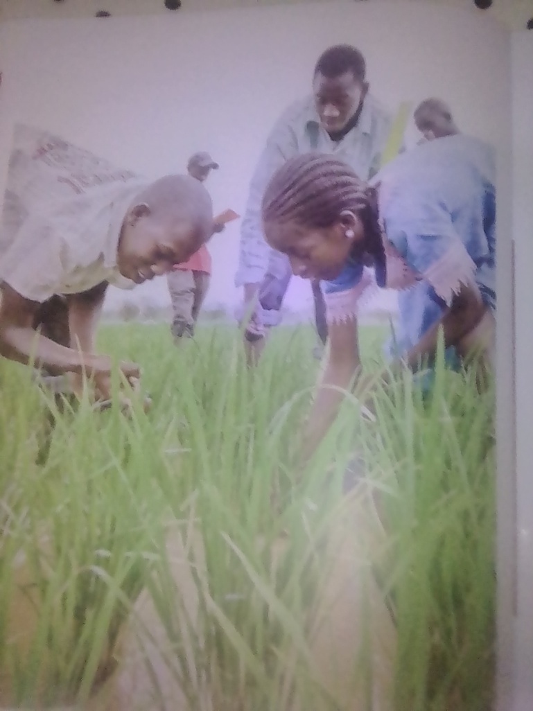 Conférence internationale sur l'agroécologie: les acteurs sonnent l’alerte pour faire face à la crise des systèmes alimentaires