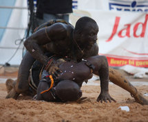 Lutte: Papis Général met au pas Nguer