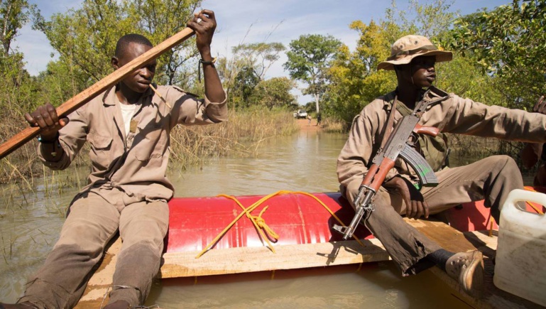 L'Europe veille sur la dernière girafe de Centrafrique L'Europe veille sur la dernière girafe de Centrafrique