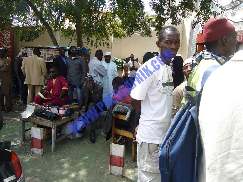 VIDEO & PHOTOS: Moustapha Niasse: "tirer des coups de feu en l’air n’est pas un délit"