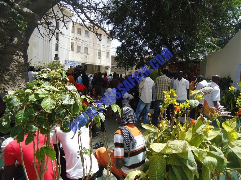 VIDEO & PHOTOS: Moustapha Niasse: "tirer des coups de feu en l’air n’est pas un délit"