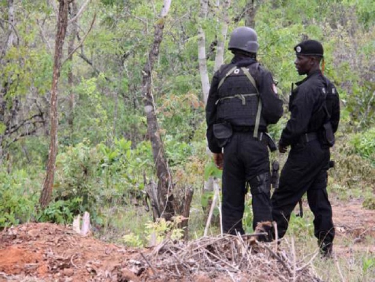 Des islamistes attaquent un village au Mozambique