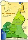 L’intervention française irrite les Camerounais