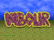 Des Millions de Franc CFA emportés dans un cambriolage à Mbour