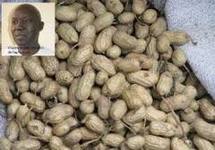 Le démarrage de la distribution des semences d’arachide annoncé pour ce 15 mai