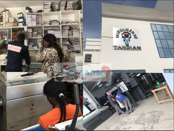 Business électorale: seules 5 imprimeries choisies pour tirer les bulletins, les petites boites "lésées" par le Conseil constitutionnel Business électorale: seules 5 imprimeries choisies pour tirer les bulletins, les petites boites "lésées" par le Conseil constitutionnel