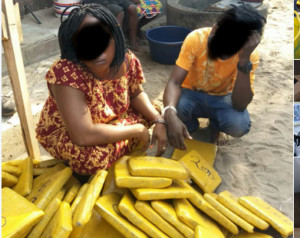 Côte d'Ivoire : Deux dealers présumés interpellés en possession de 208 blocs de Cannabis