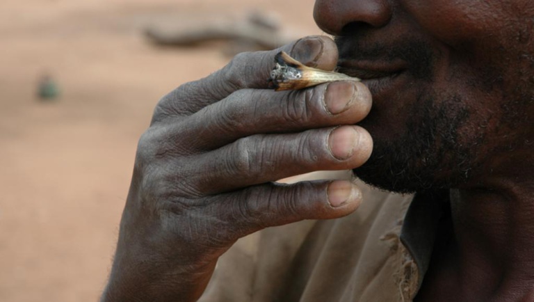 Environ 10% de la population consomment du cannabis au Nigeria Environ 10% de la population consomment du cannabis au Nigeria