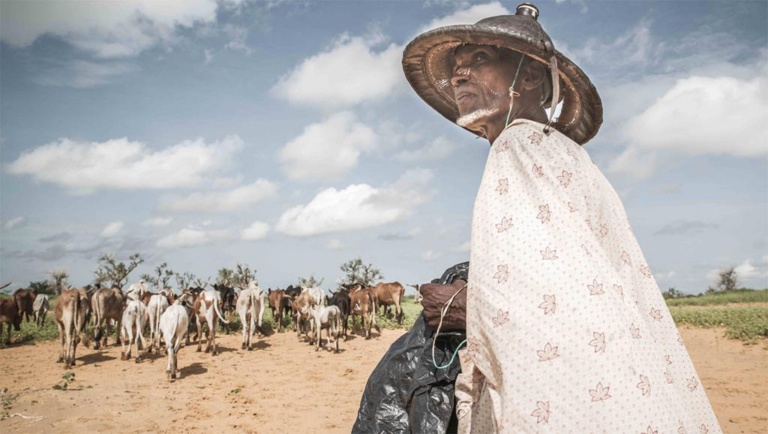 Au Mali, le nombre de déplacés internes a été multiplié par deux en six mois