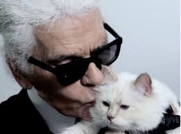 Décès Karl Lagerfeld : sa chatte «Choupette» désignée comme héritière