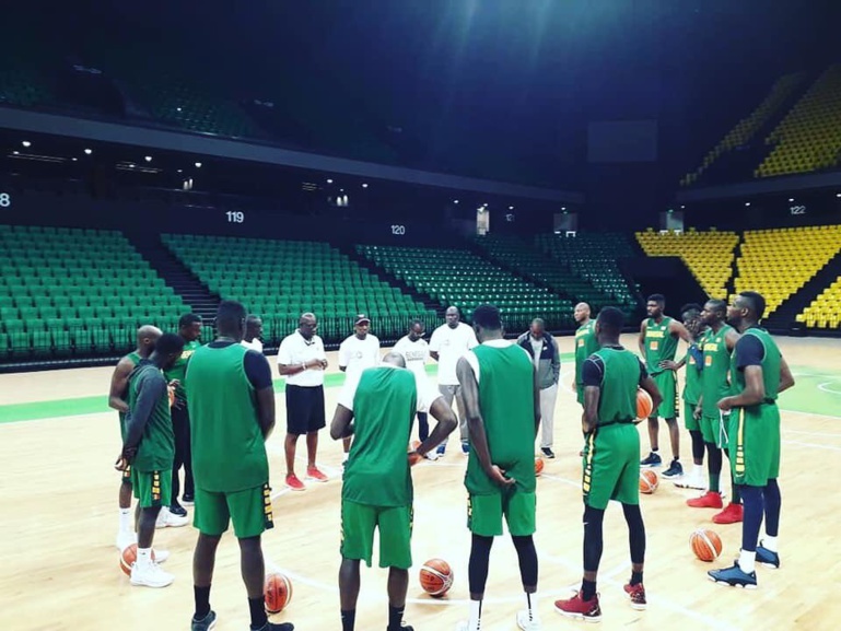 Qualification Mondial Basket 2019 : la liste des 12 "Lions" retenus Qualification Mondial Basket 2019 : la liste des 12 "Lions" retenus