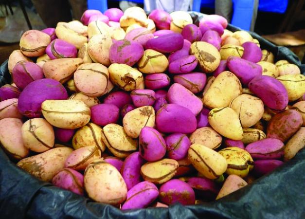 Mariage précoce, source de malheur pour jeunes filles