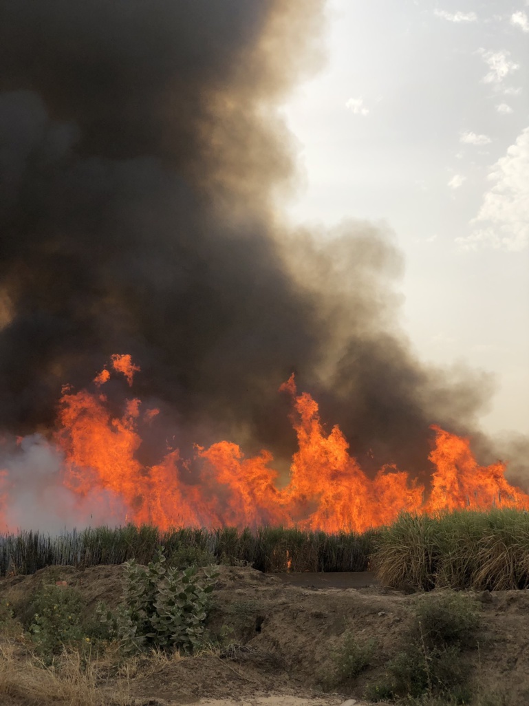 URGENT - Un incendie s'est déclaré à la Sonacos