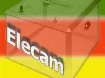 Le logo de Elections Cameroun, l'instance en charge de l'organisation des élections au Cameroun. DR
