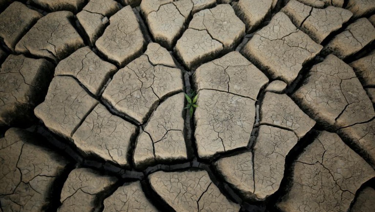 La sécheresse va faire baisser la croissance du Kenya