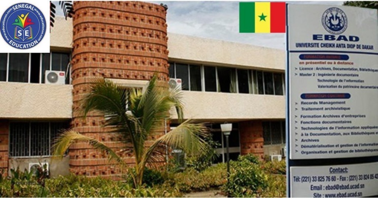 Recrutement dans la Fonction publique: les bibliothécaires et archivistes montent au créneau Recrutement dans la Fonction publique: les bibliothécaires et archivistes montent au créneau