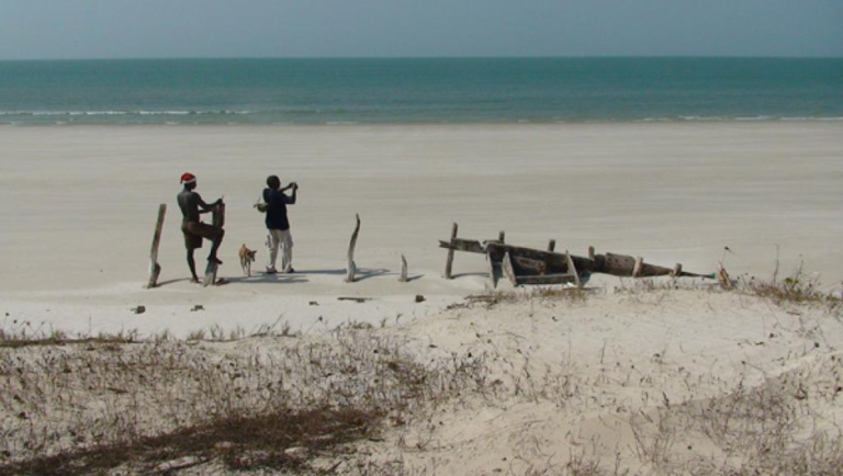 Guinée-Bissau: beaucoup de serpents, mais pas de vaccins aux Bijagos