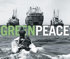 Surexploitation des ressources halieutiques : Greenpeace accuse certains gouvernants