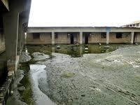 Quand les eaux et les arbustes interdisent l’accès aux écoles à Kaolack