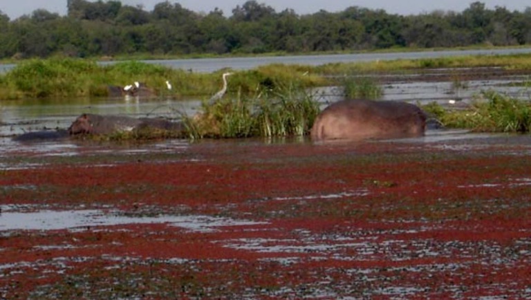 Disparition des deux Français et de leur guide au Bénin: beaucoup de questions Disparition des deux Français et de leur guide au Bénin: beaucoup de questions