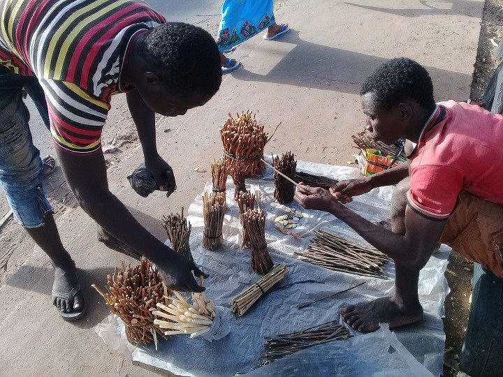 Le business du cure-dent: prospère pour les uns, c'est un bien "sot-métier" pour d'autres