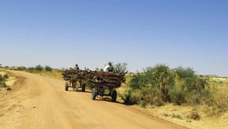 Tchad: arrestations après des affrontements meurtriers dans la région d'Abéché