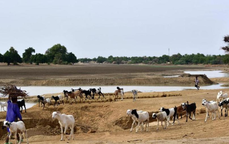 Niger: les enlèvements pour des rançons se multiplient autour de Diffa Niger: les enlèvements pour des rançons se multiplient autour de Diffa