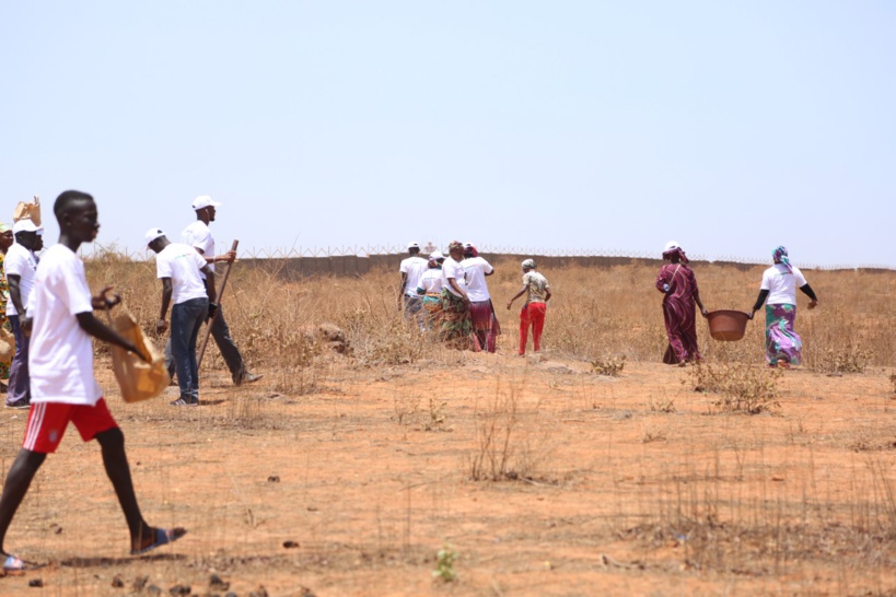 Mois de l’environnement : LAS participe au lancement de l’opération « 100 millions de graines pour la terre » Mois de l’environnement : LAS participe au lancement de l’opération « 100 millions de graines pour la terre »