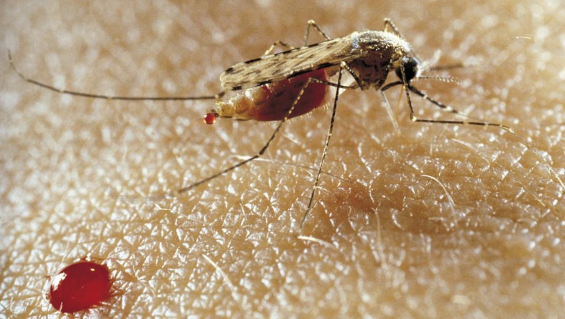 Le Burundi frappé par une épidémie de paludisme