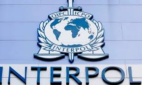 Saisie record de Drogue: Interpol débarque à Dakar