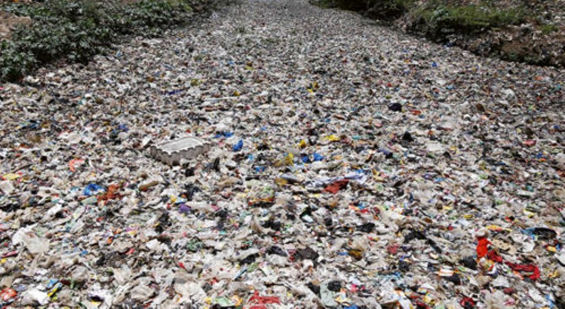 Importation des déchets plastiques des Etats Unis: Greenpeace Afrique surpris du "retournement de veste" de Macky Importation des déchets plastiques des Etats Unis: Greenpeace Afrique surpris du "retournement de veste" de Macky