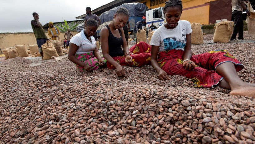 Cacao: échec de la réunion de la filière à Abidjan