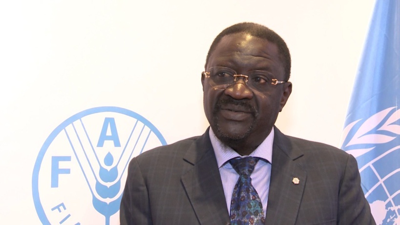 L’ancien ministre Papa Abdoulaye Seck pressenti comme ambassadeur en Italie L’ancien ministre Papa Abdoulaye Seck pressenti comme ambassadeur en Italie