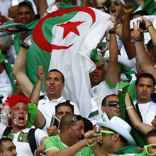 L'entrée au stade de la finale de la CAN sera gratuite pour les supporters algériens !