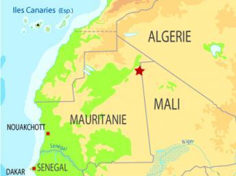 L'Algérie et le Mali reprennent leur coopération militaire dans la lutte contre Aqmi. RFI