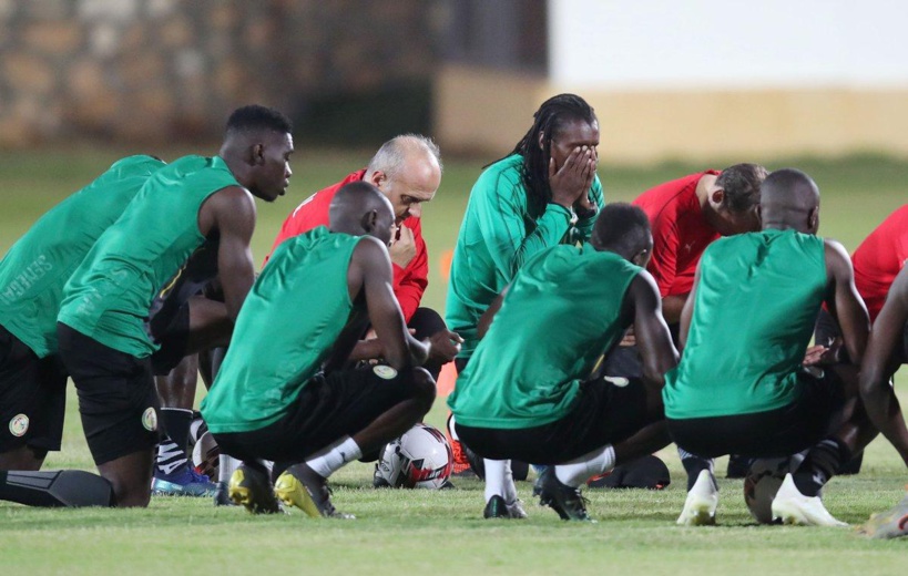 Ce soir vous ne rugirez pas seuls devant les Fennecs... Ce soir vous ne rugirez pas seuls devant les Fennecs...