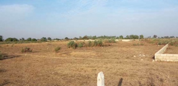 Litige foncier à Mbane : les populations s’opposent à la vente de 8 000 hectares de leur terre